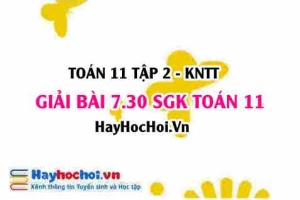 Bài 7.30 SGK Toán 11 Tập 2 Kết nối tri thức